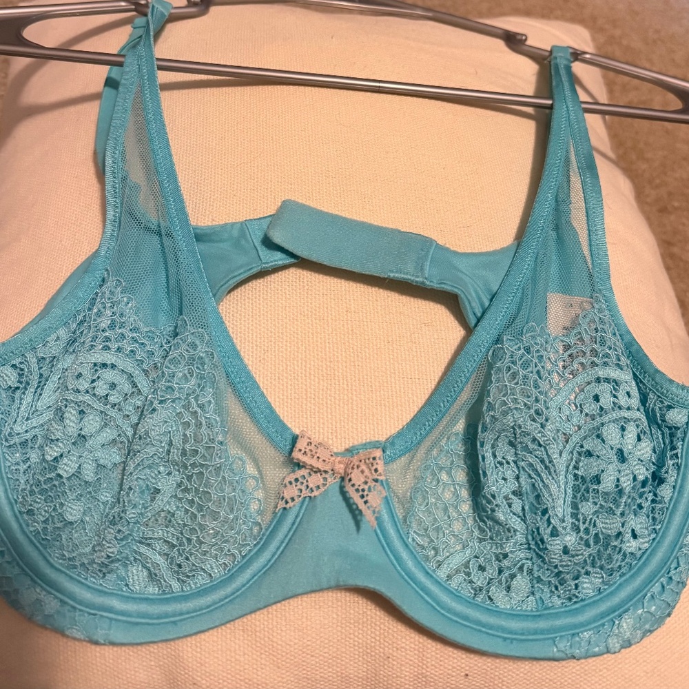 NWT VS  Demi Buste 32C